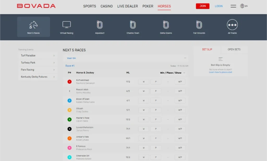 Bovada racebook