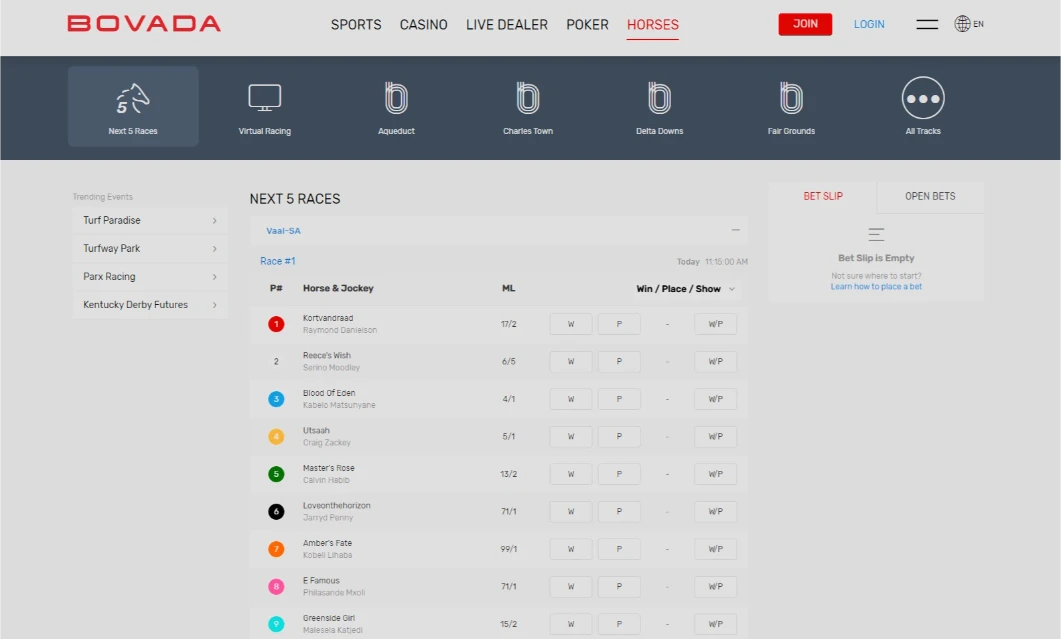 Bovada Racebook