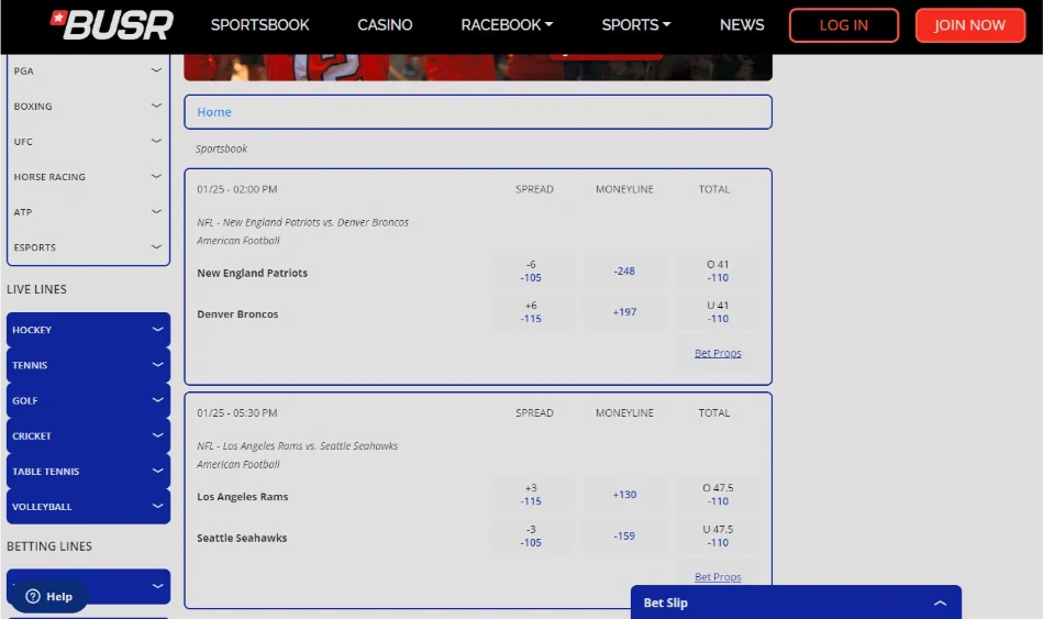 BUSR Desktop Interface