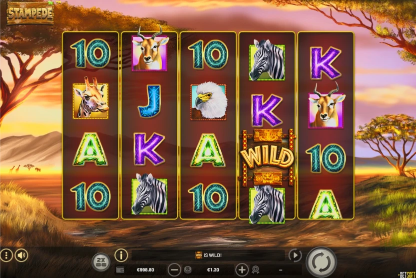 stampede slot