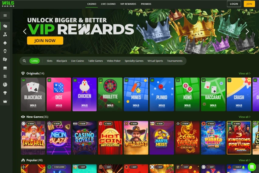 Wild Casino Homepage 2026